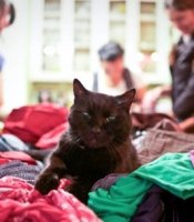 Portrait of Conscious Layers