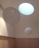 Image of The Auckland Buddhist Centre