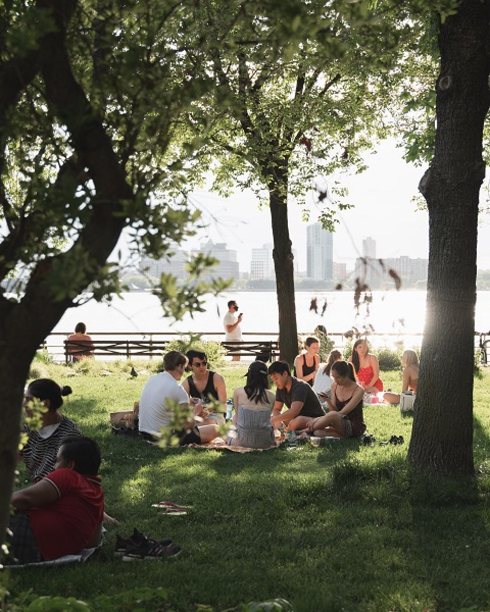 Picnic in New York which is a lot like Francis Street Reserve in Grey Lynn - perhaps not