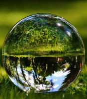 Glass ball on grass, mirroring the scenery around