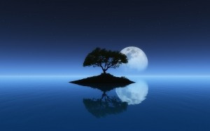 moon on tree and water