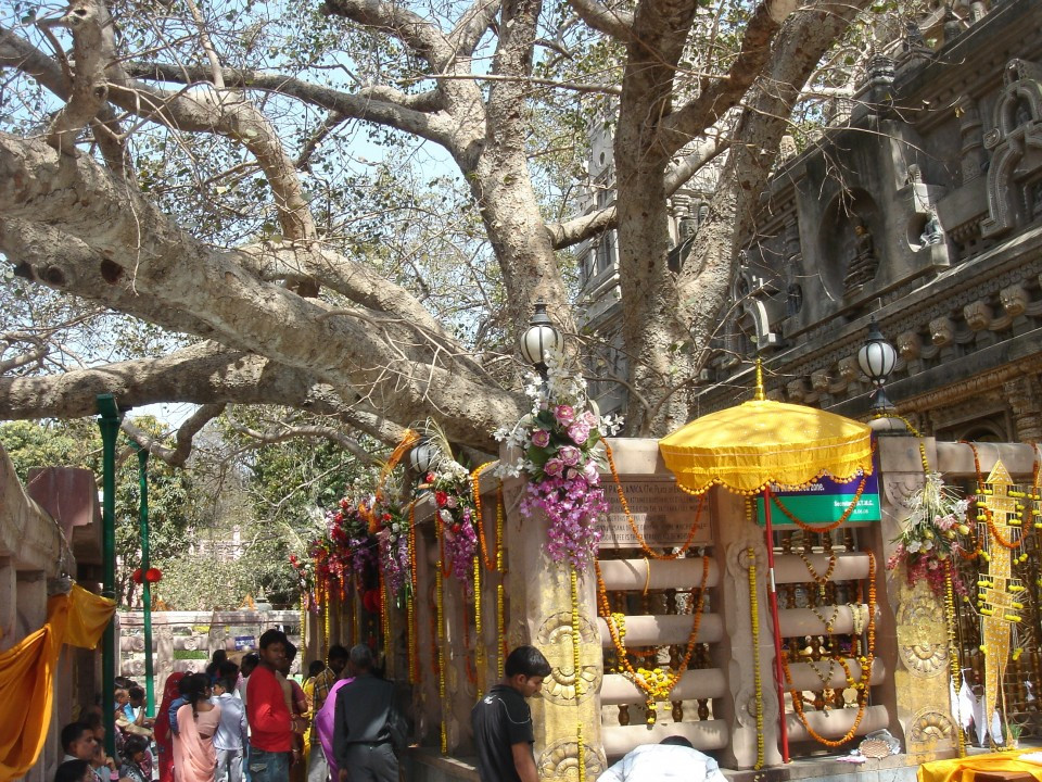 Wesak image