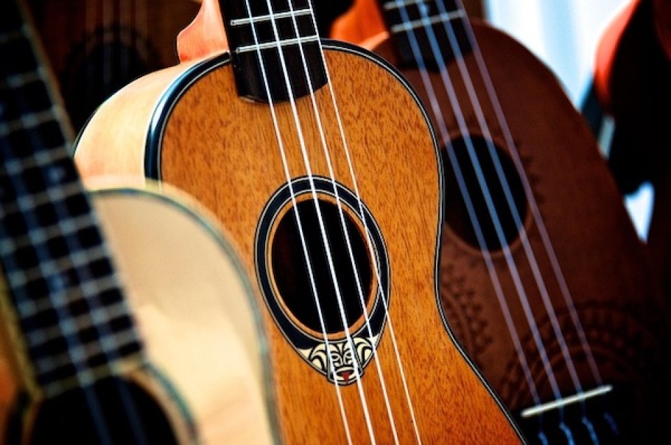 Someone playing the ukelele (Mike Tribulas, Pixabay)