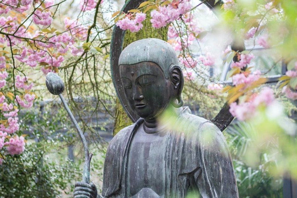 Buddha statue with flowers