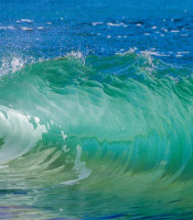 Wave arising out of the ocean