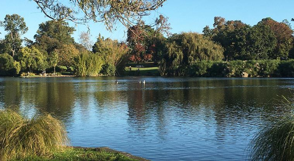 Western Springs Lake