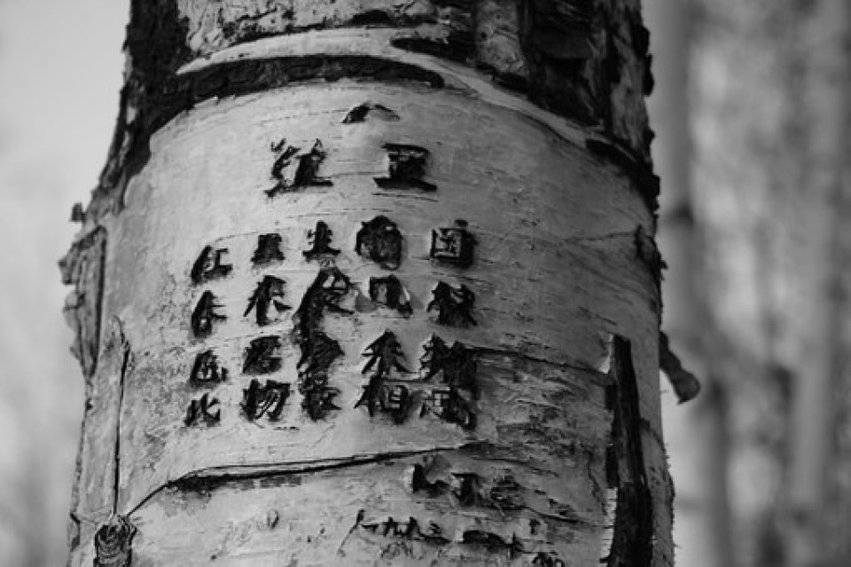 poetry on tree