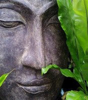Peaceful Buddha amid green leaves