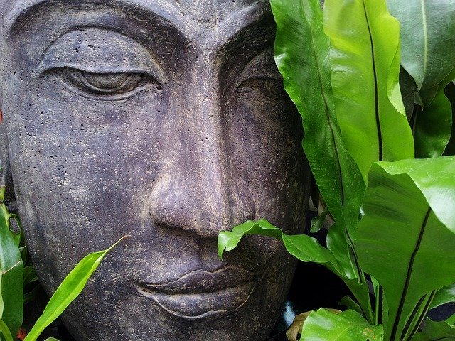 Peaceful Buddha amid green leaves