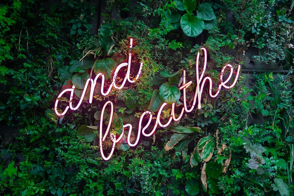 Neon sign that says and breathe against a backdrop of green plants